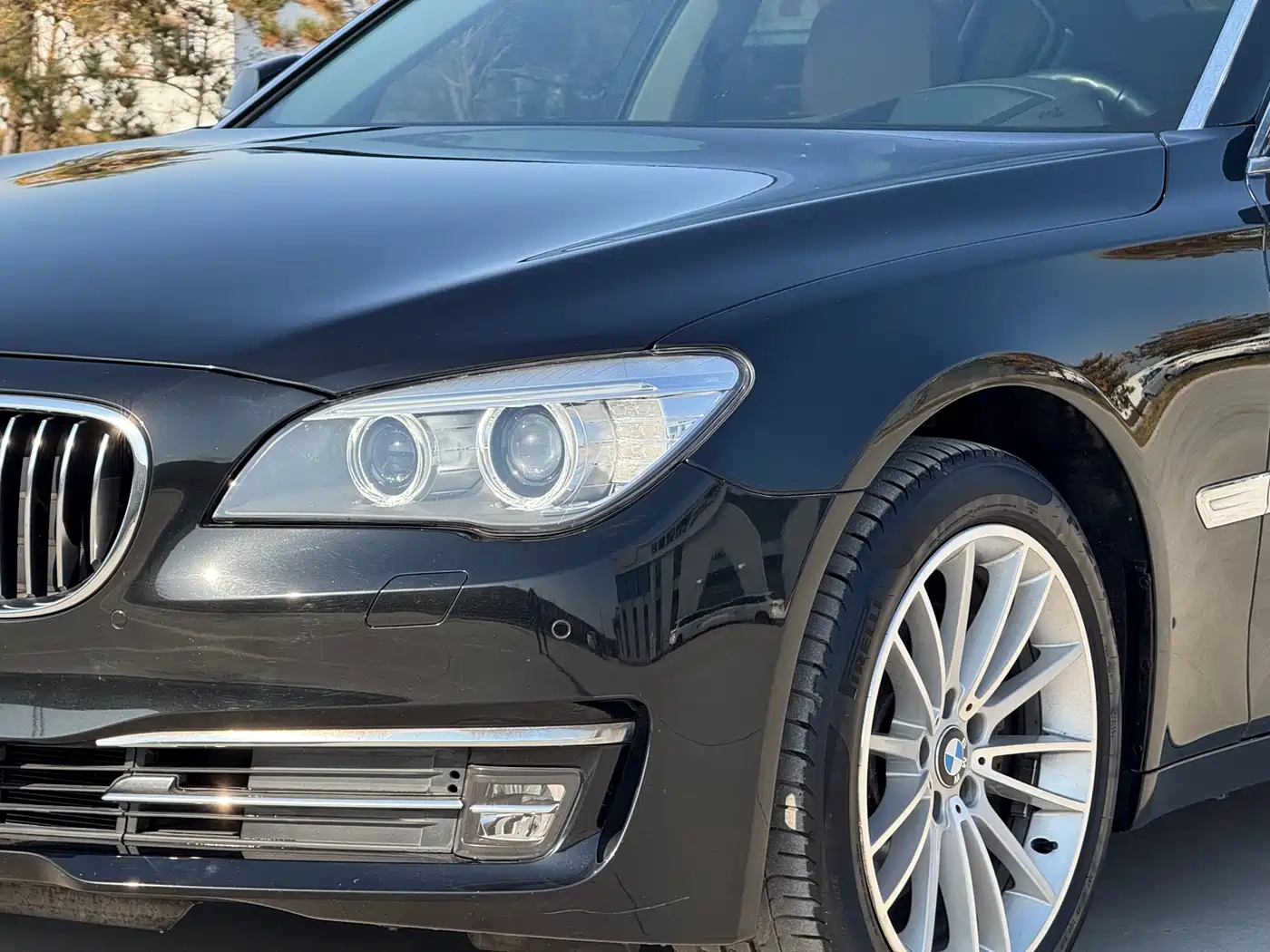 BMW 7 Series 2014 730Li Premium фото 10