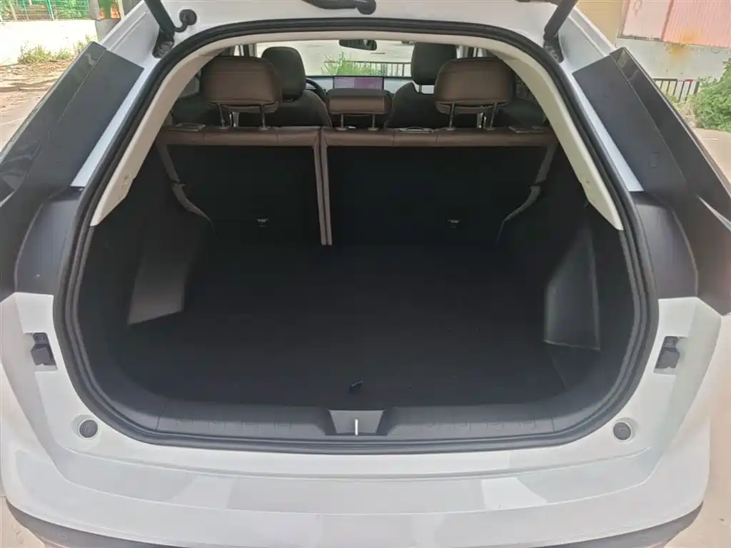 GAC Trumpchi Trumpchi GS4 2024 MAX 1.5T Flagship Edition фото 19