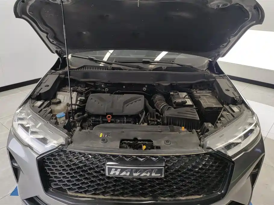 Haval H6 2021 3rd Generation 2.0T Auto 2WD Max фото 10