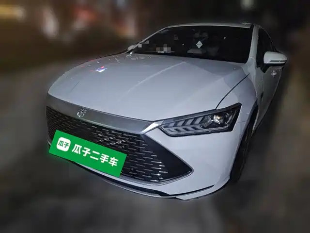 BYD Qin PLUS DM-i 120KM, Премиум