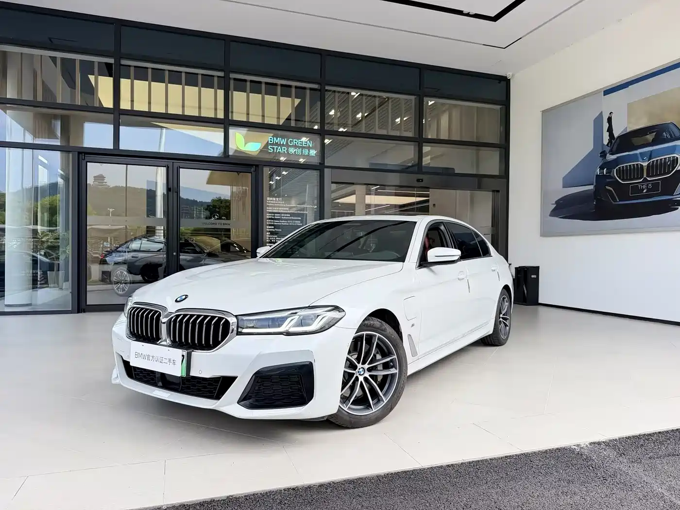 BMW 5 Series New Energy 2021