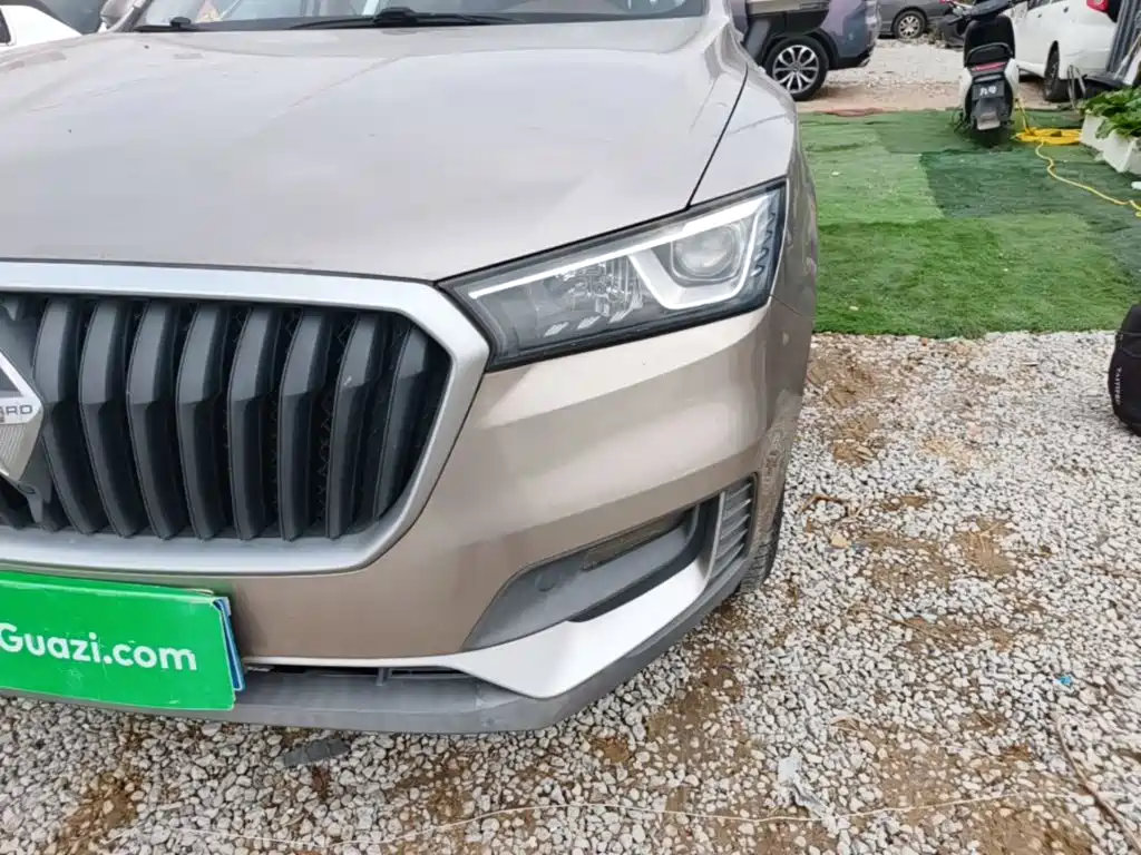 صورة 24 - Borgward BX5