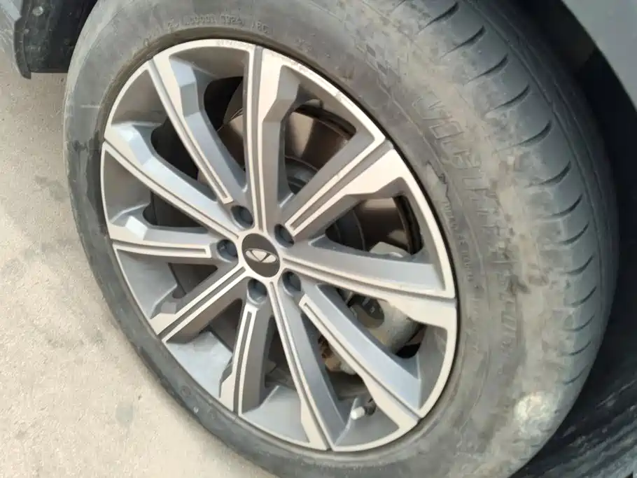 Фото 6 - Chery Fengyun Fengyun T9