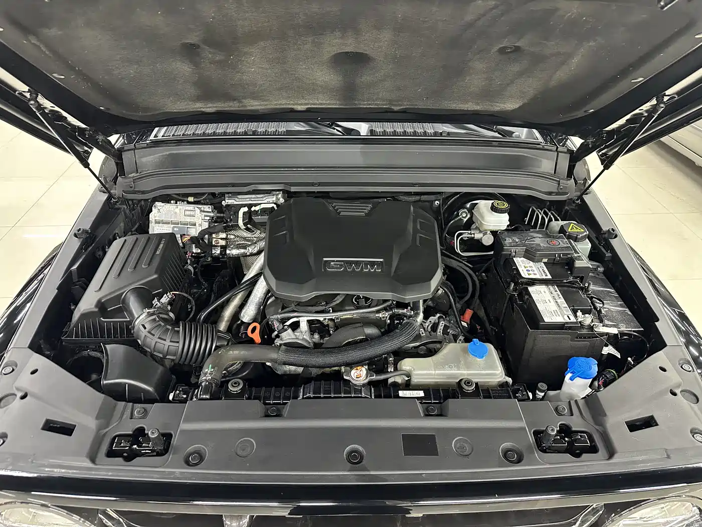 Tank 300 2024 2.0T Explorer фото 9