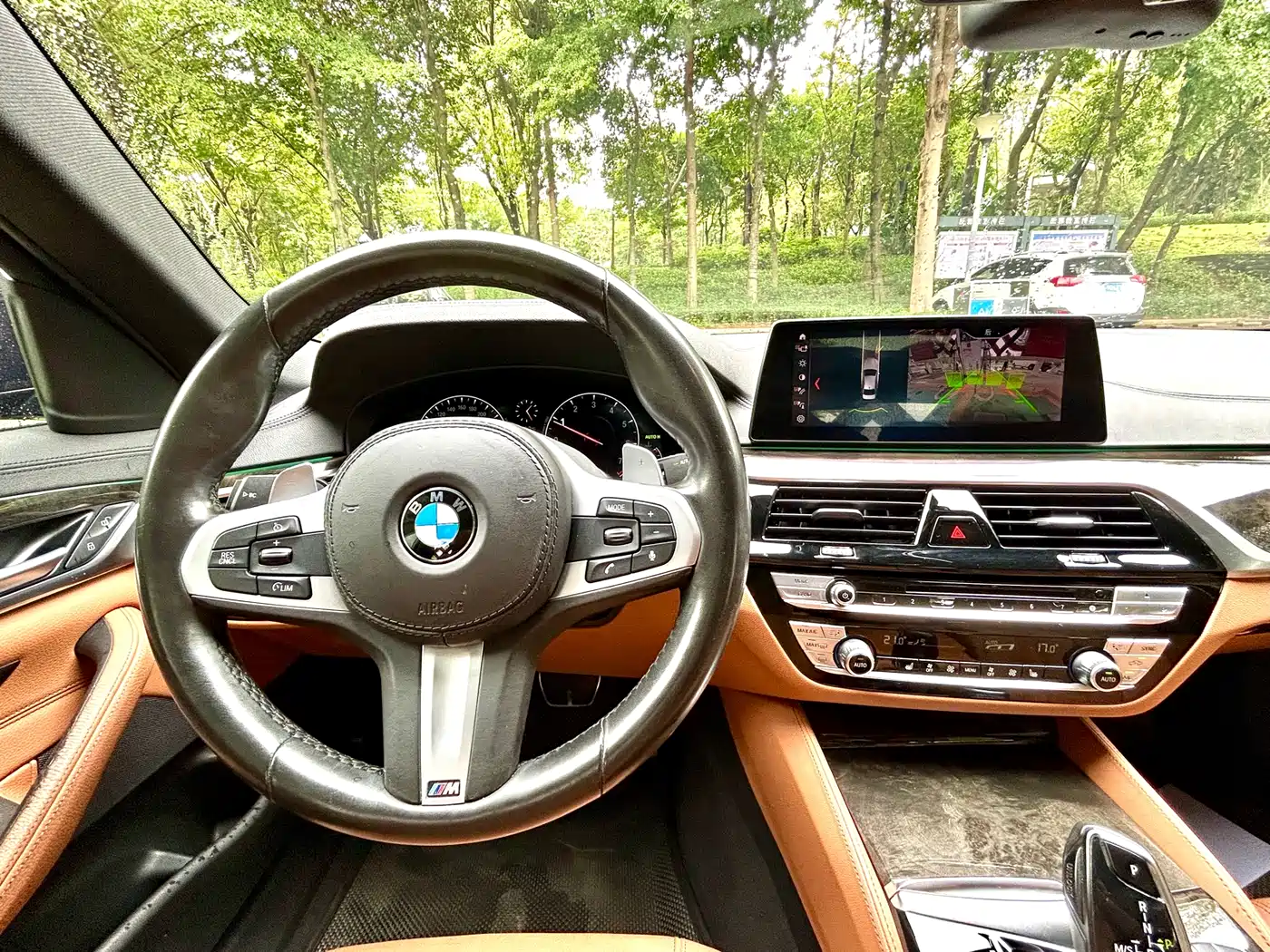BMW 5 Series 2019 530Li Leading M Sport Package фото 18
