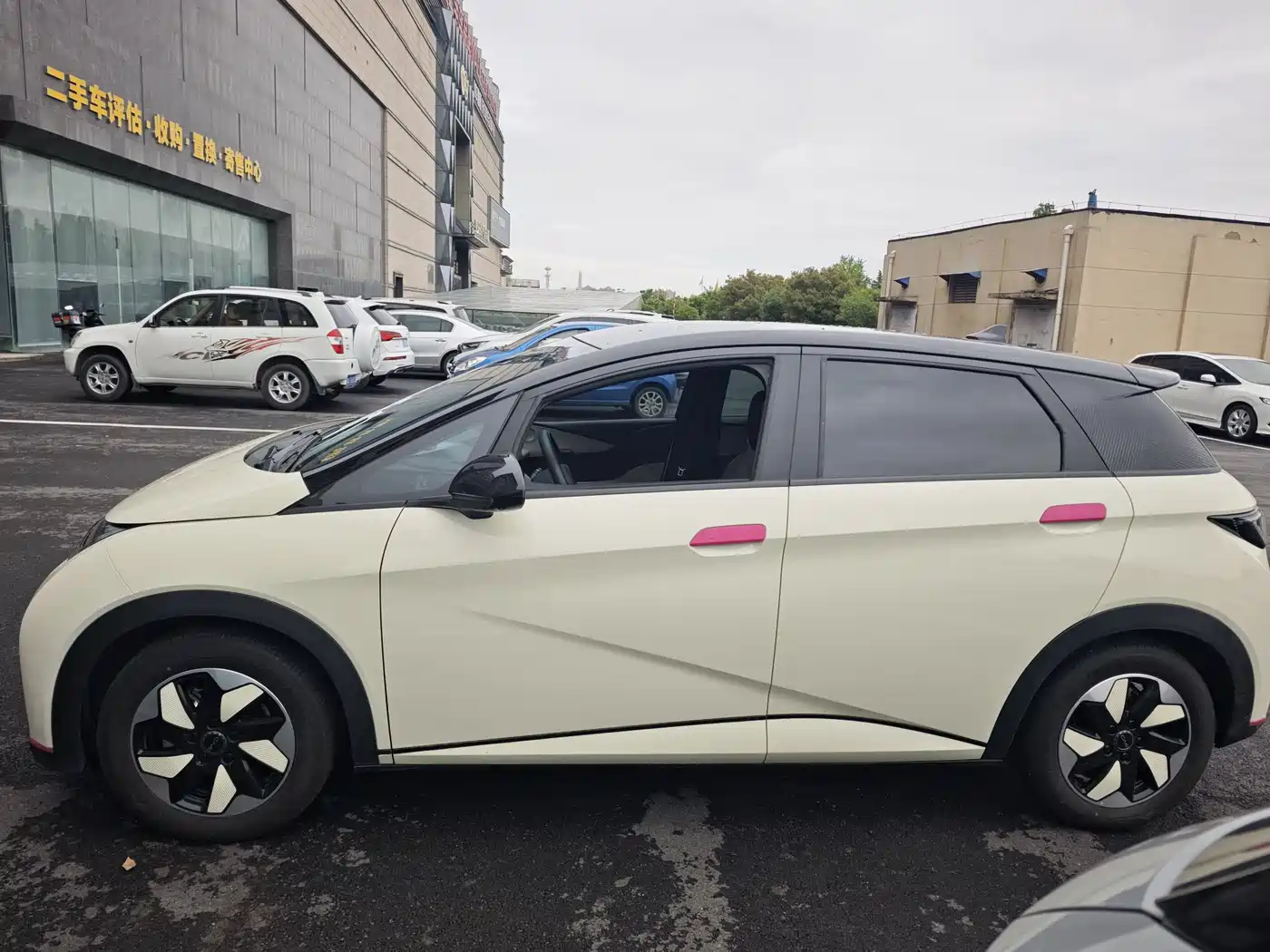 BYD Dolphin 2025 420km Fashion Edition фото 2