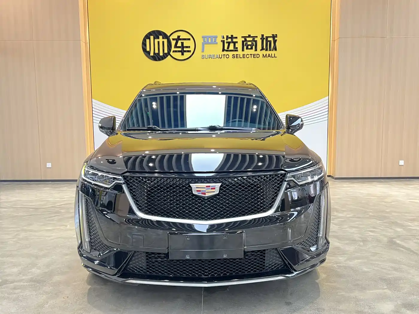 Cadillac XT6 2022 2.0T 6-Seater 4WD Premium Edition фото 2
