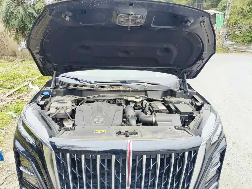 Hongqi HS3 2024 2023 1.5T 2WD Virtue Edition
