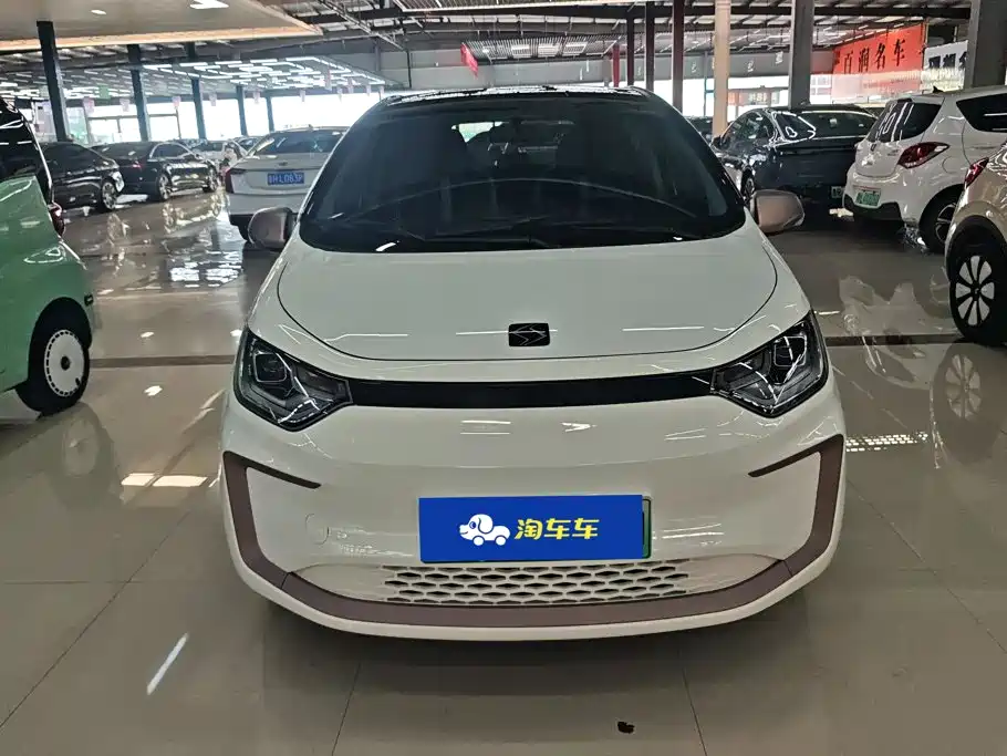 Sehol Flower Fairy 2021 2021 302km Fashion Edition 31.4kWh