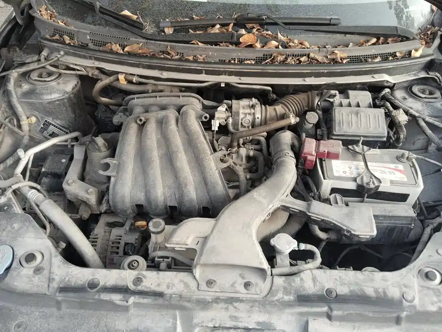 صورة 10 - Nissan Sylphy