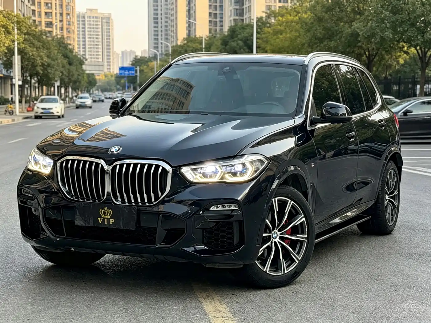 BMW X5 (Import) 2019 xDrive40i M Sport Package