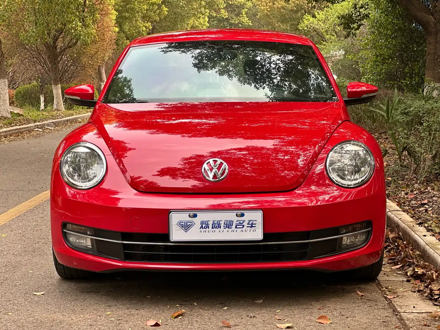 Volkswagen Beetle 2013 1.4TSI Fashion Edition фото 2