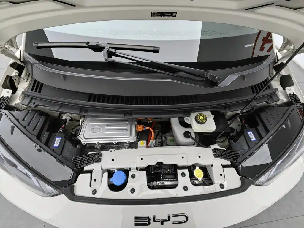 Фото 6 - BYD Seagull