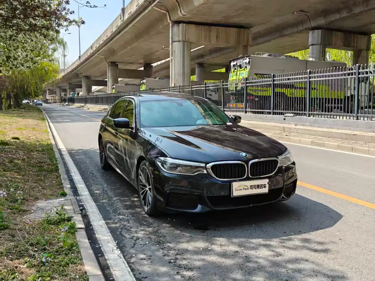 BMW 5 Series 2020 530Li Leading M Sport Package фото 2