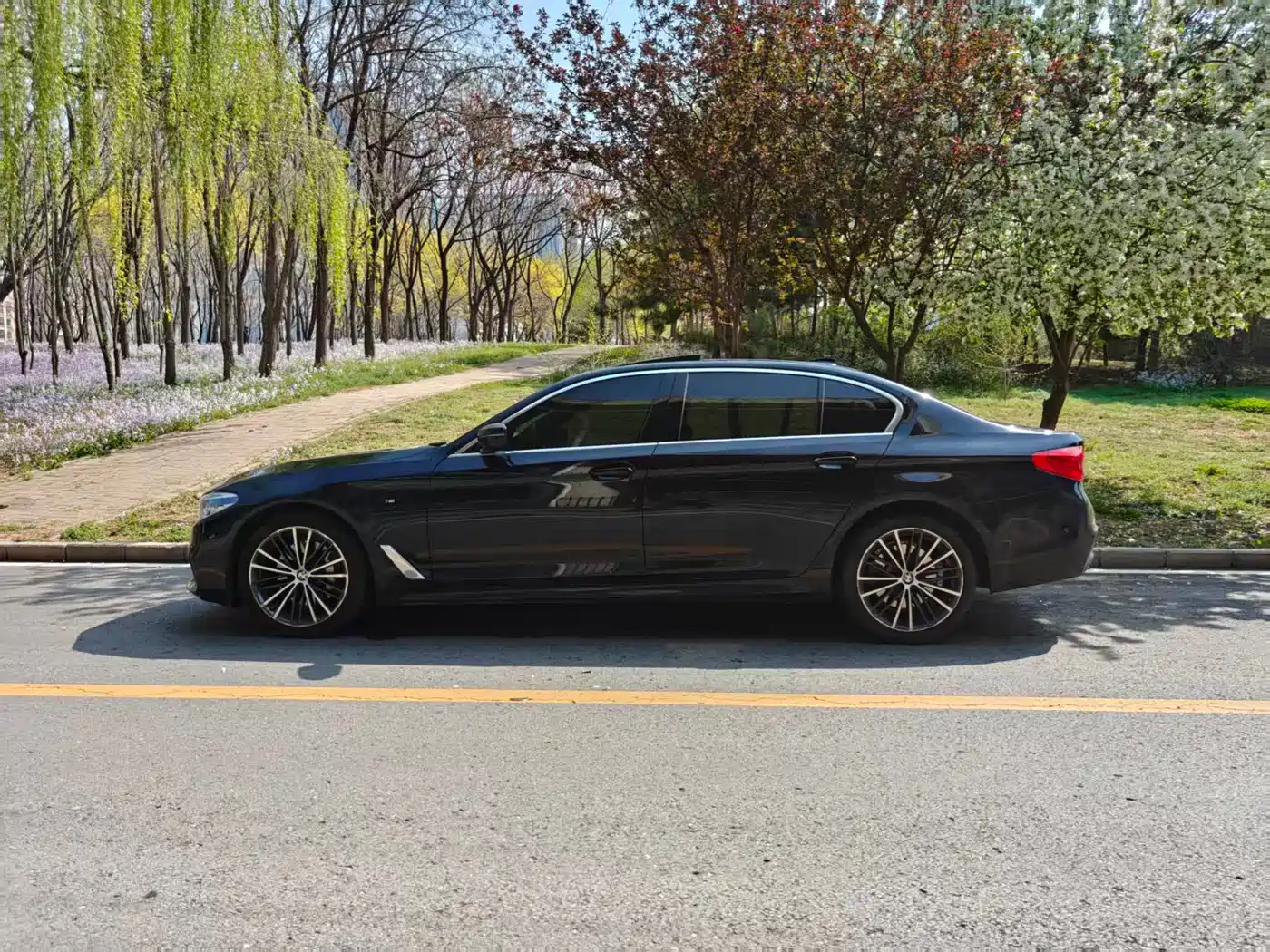 BMW 5 Series 2020 530Li Leading M Sport Package фото 5
