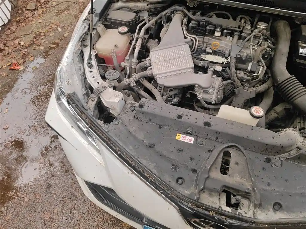 Toyota Corolla 2021 1.2T S-CVT Pioneer Edition фото 21