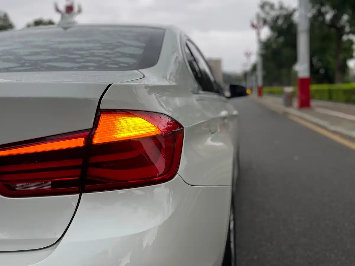 BMW 3 Series 2017 320Li Fashion фото 7