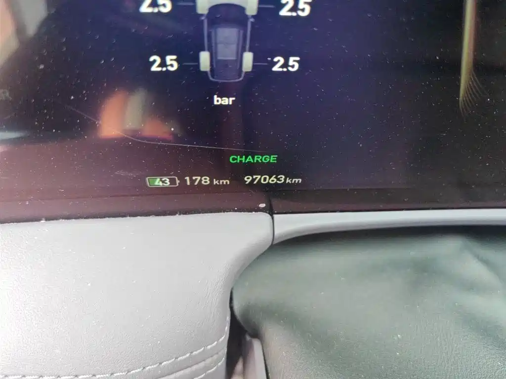 Hongqi E-HS9 2021 510km Flagship Edition 4-seater фото 5