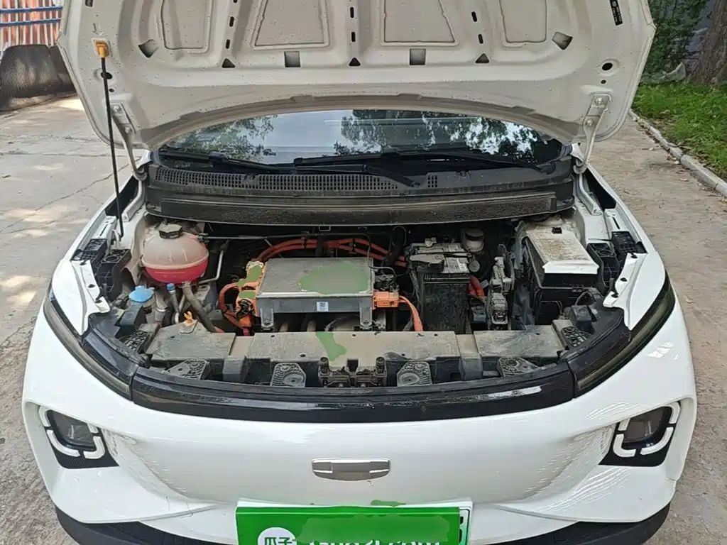 Geely Geometry E Firefly 2024 2024 Model 301km Light Flow