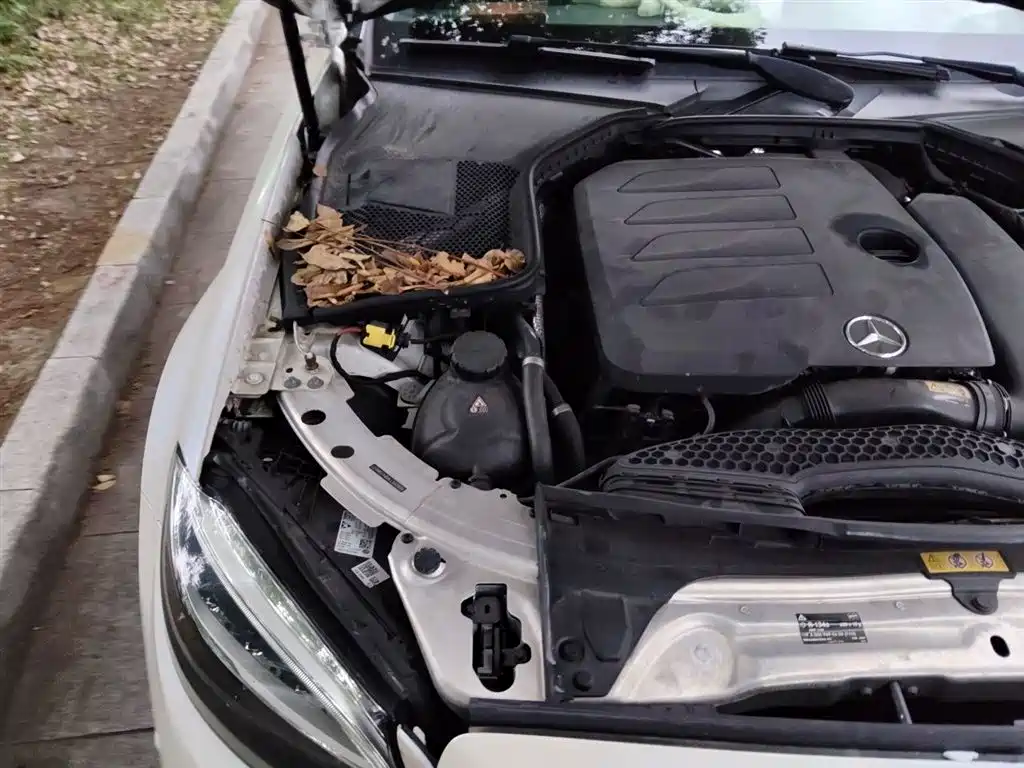 Mercedes-Benz C-Class 2020 C 260 L Sport фото 21