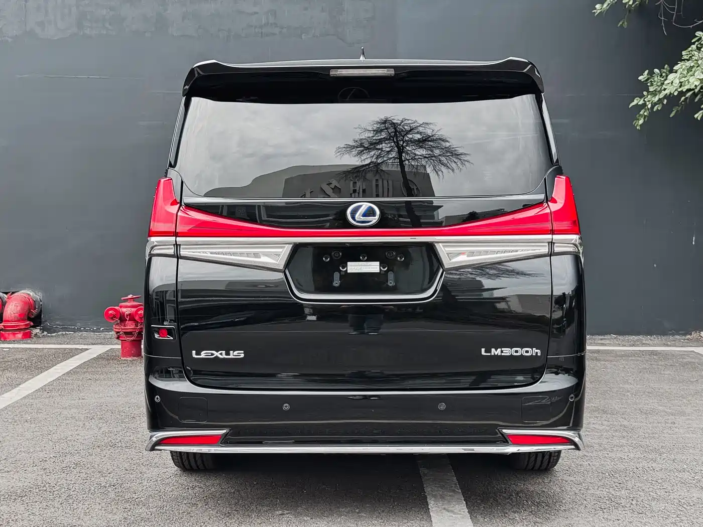 Lexus LM 2020 300h Seven-Seater Elegance Edition фото 6