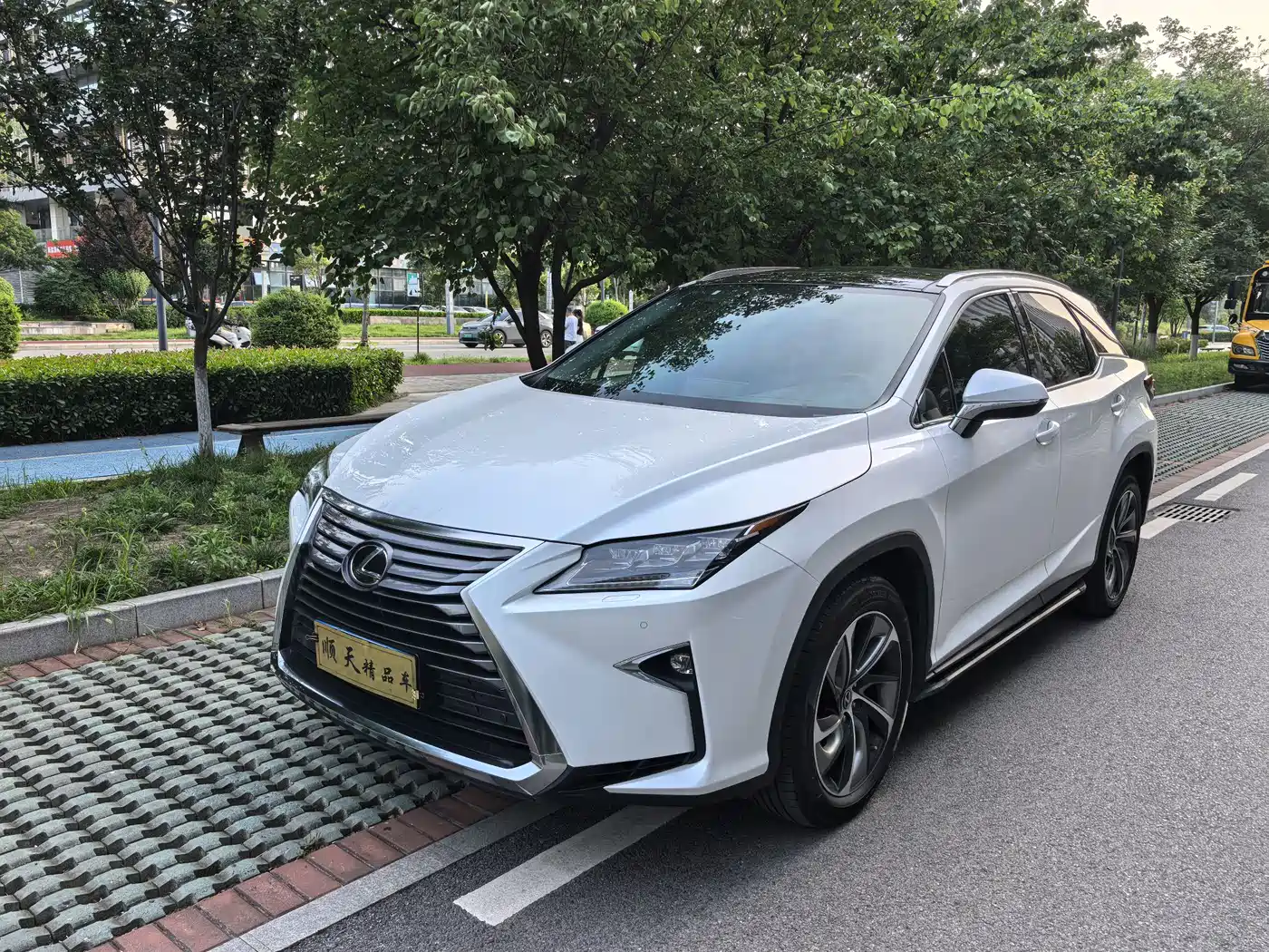  Lexus Lexus RX 2020 300 4WD Elegance Edition China VI
