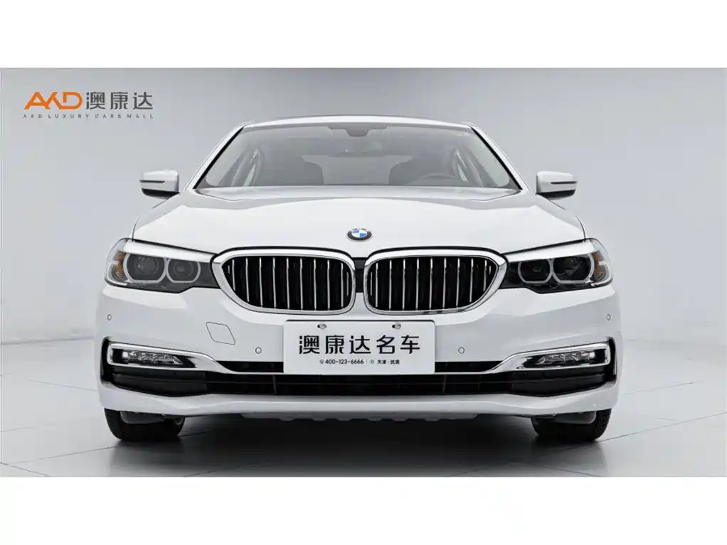 BMW 5 Series 2018 Facelift 530Li Leading Luxury Package фото 2