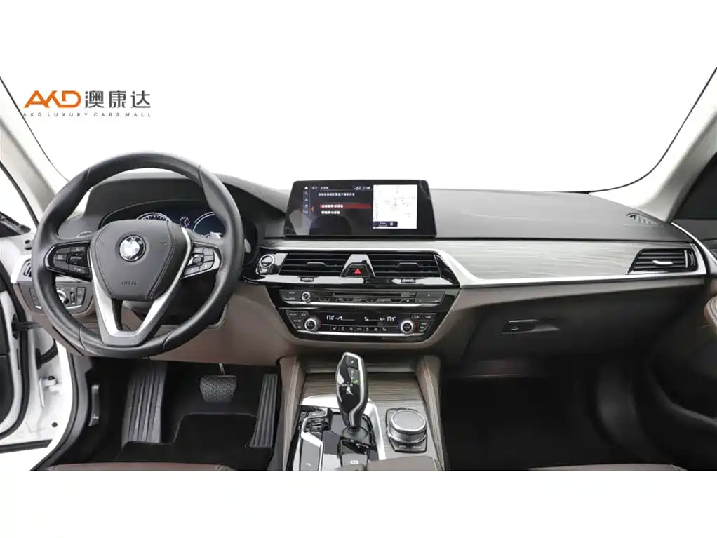 BMW 5 Series 2018 Facelift 530Li Leading Luxury Package фото 5