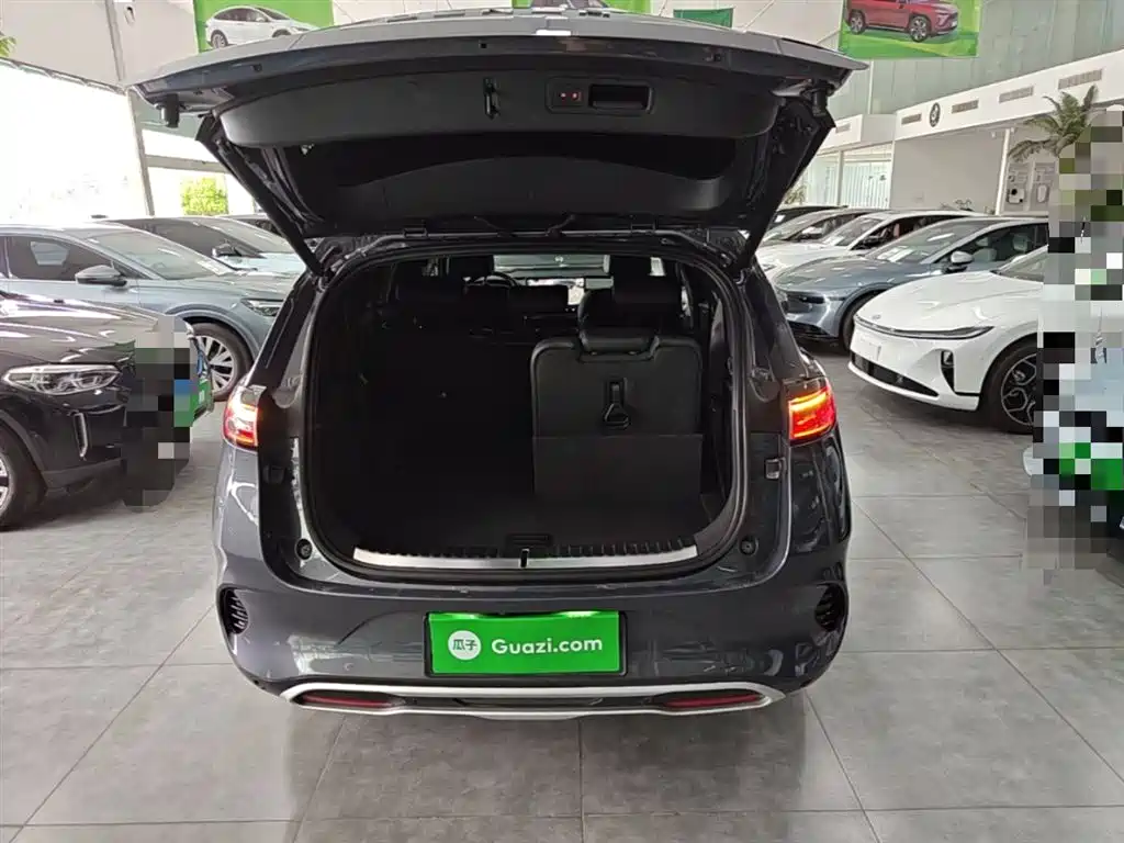 Denza X 2020 PHEV Sport Edition фото 19