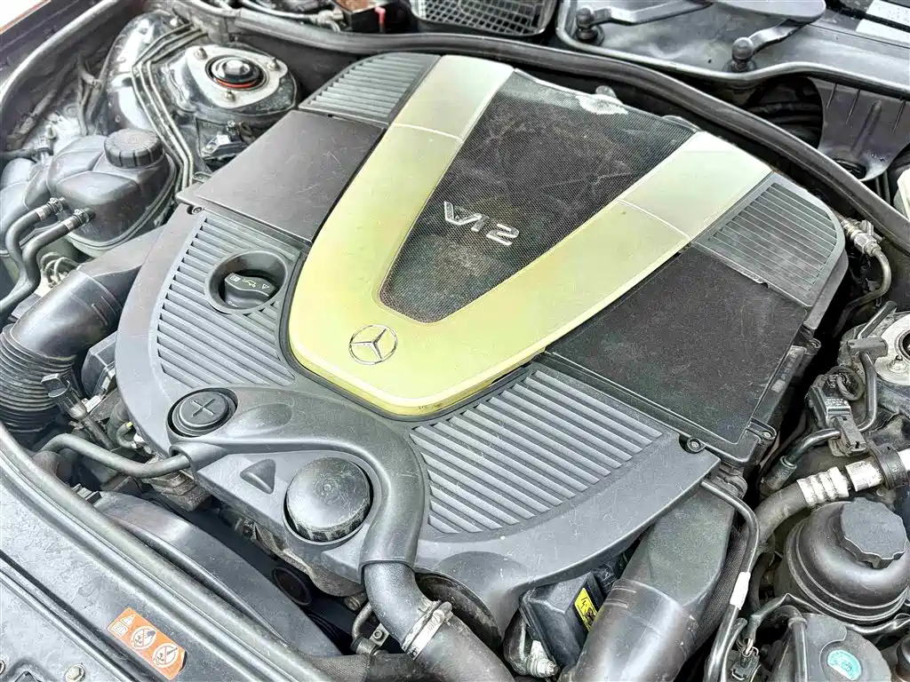 Mercedes-Benz S-Class 2008 Model S 600 L фото 18