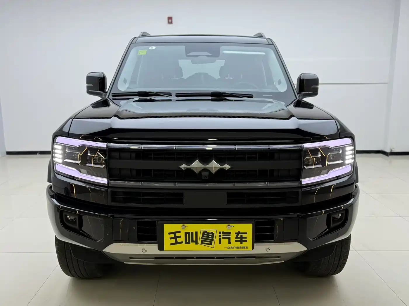 FANG CHENG BAO LEOPARD 5