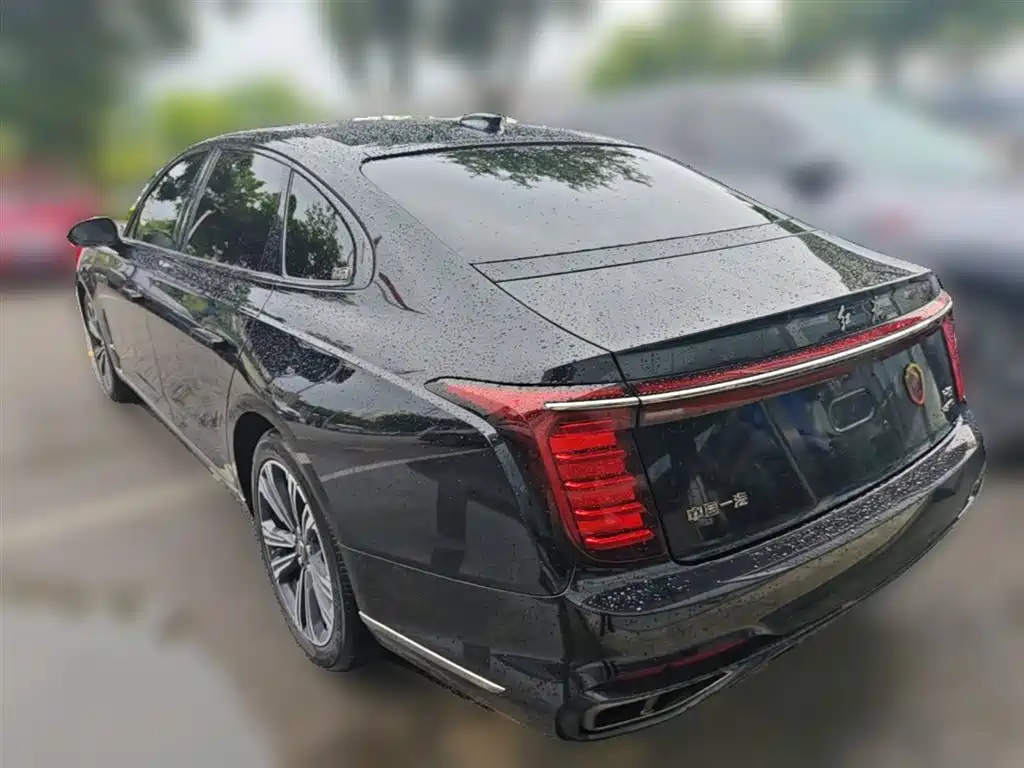 Hongqi H9 2024 2.0T Qi Enjoy Private Fashion Edition фото 9
