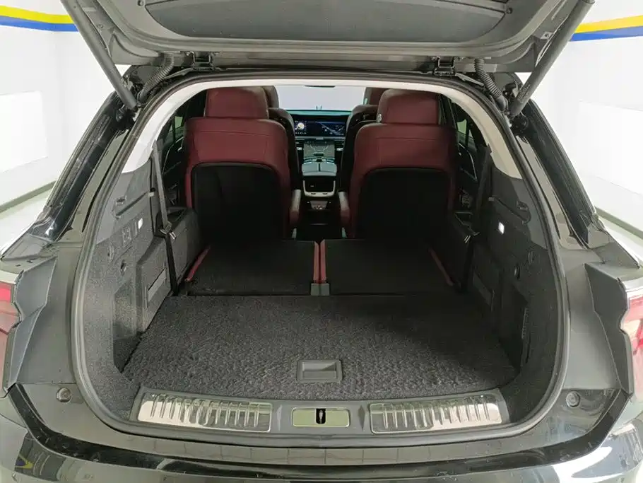2023 Hongqi E-HS9