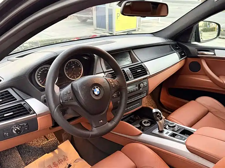 BMW X6 M 2010 X6 M фото 8