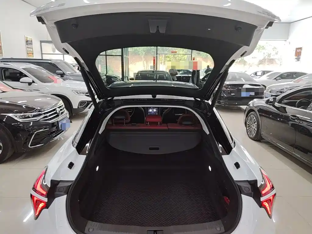 Фото 19 - Hongqi H6