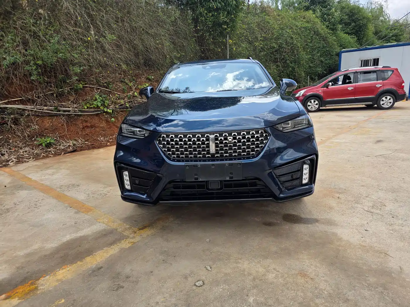 WEI PAI WEI BRAND VV7