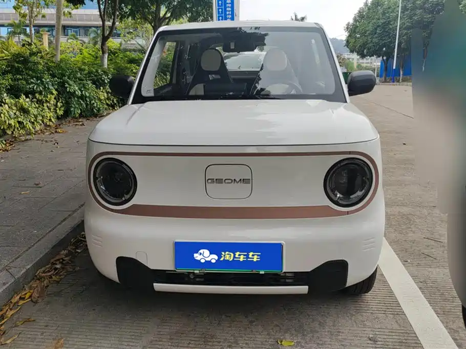 GEELY GALAXY PANDA