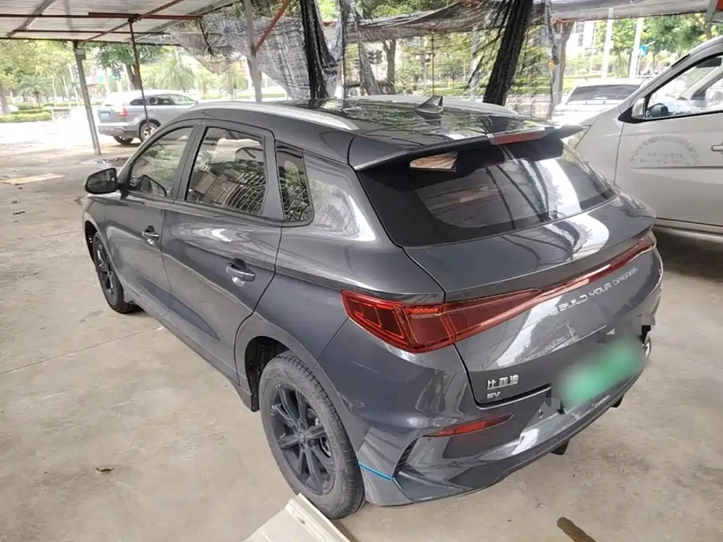 BYD e2 2021 2020 Upgraded Long Range Luxury