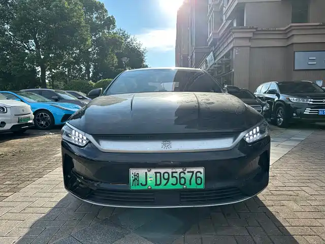 BYD Qin PLUS 2023 Champion Edition EV 510KM Leading Type — фото 2