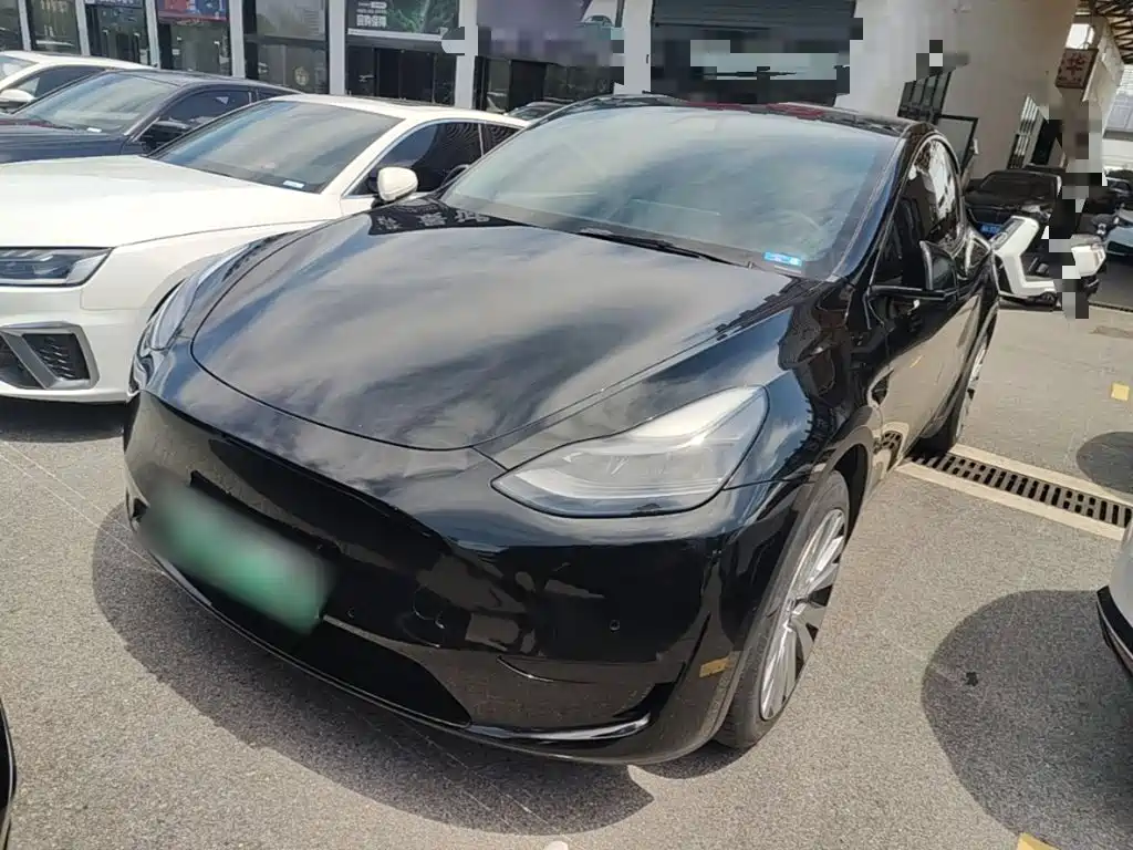 Tesla Model Y 2022 Rear-Wheel Drive Version