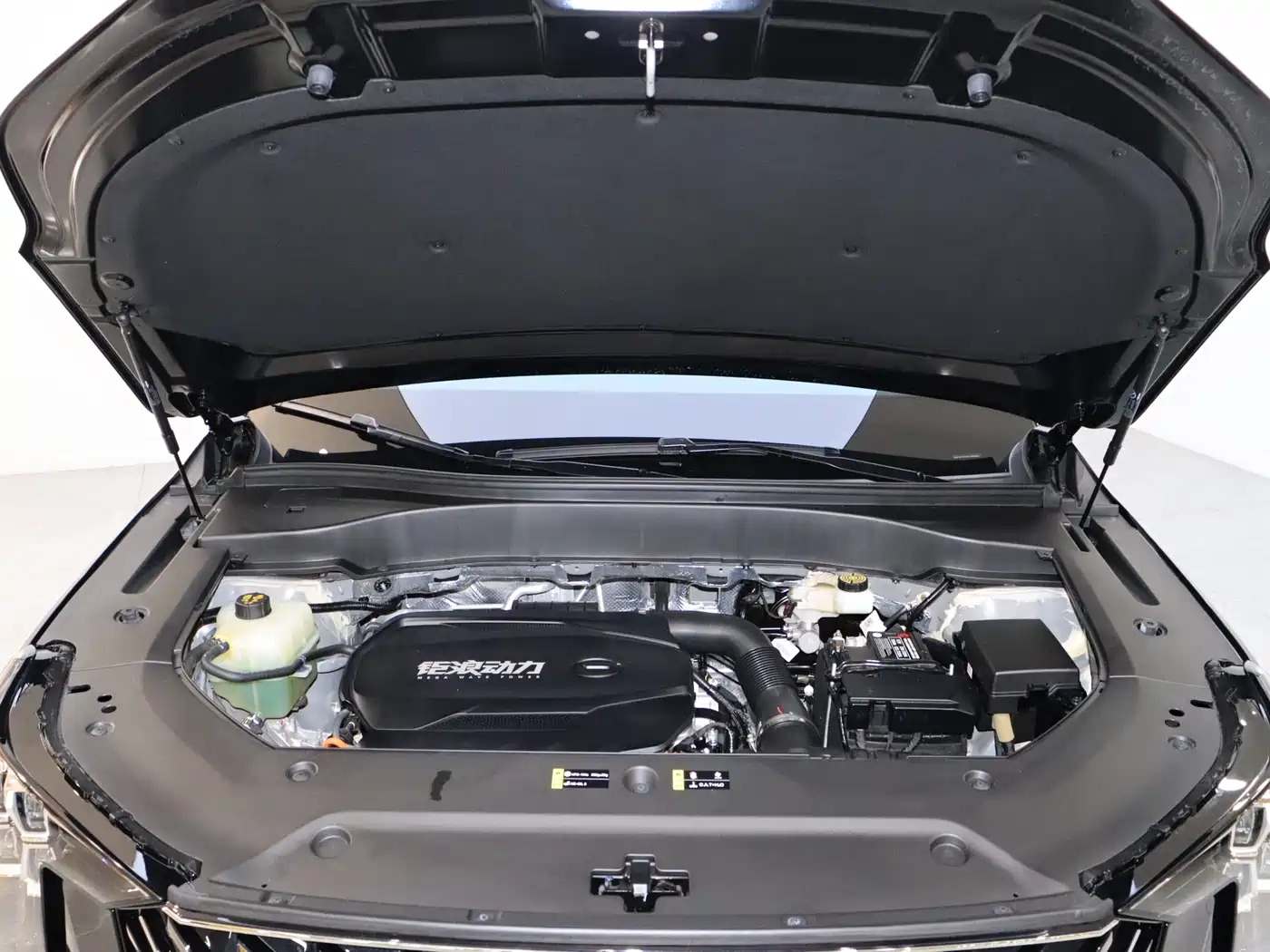 GAC Trumpchi Trumpchi GS8 2025 Pilot Series 2.0TGDI 2WD Luxury Edition 5-seater фото 7