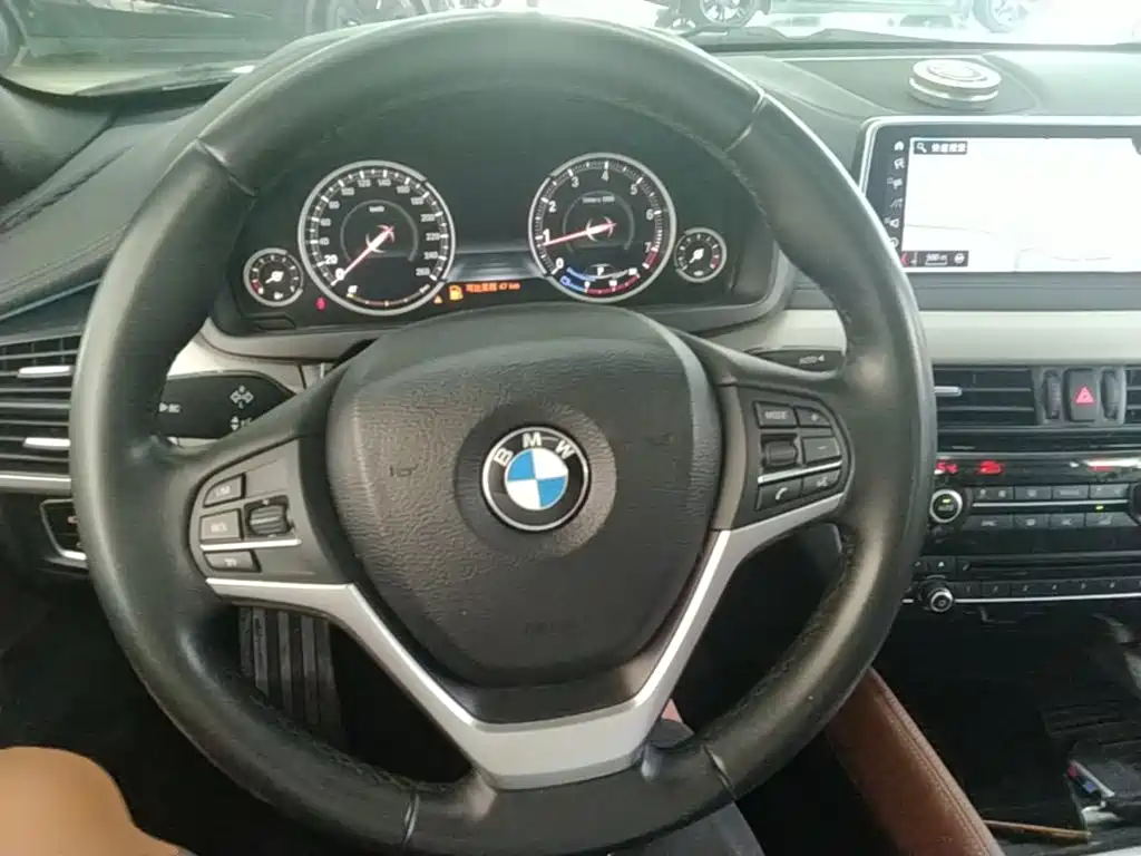Photo 11 - BMW X6