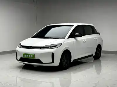 BYD D1