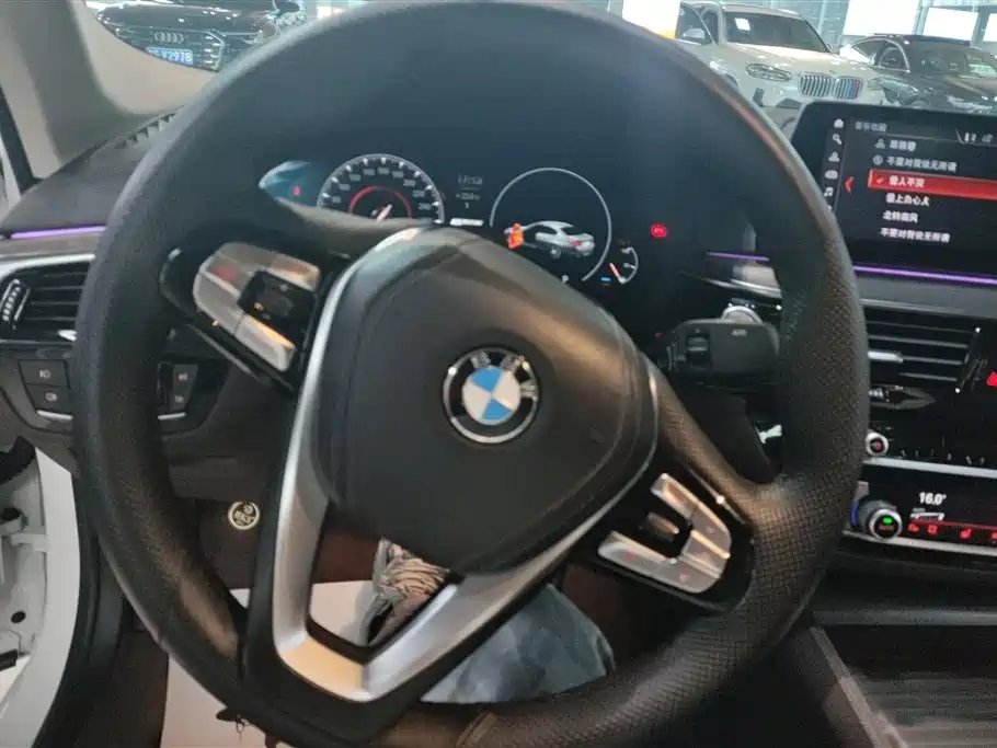 BMW 5 Series New Energy 2019 530Le Luxury Package фото 15