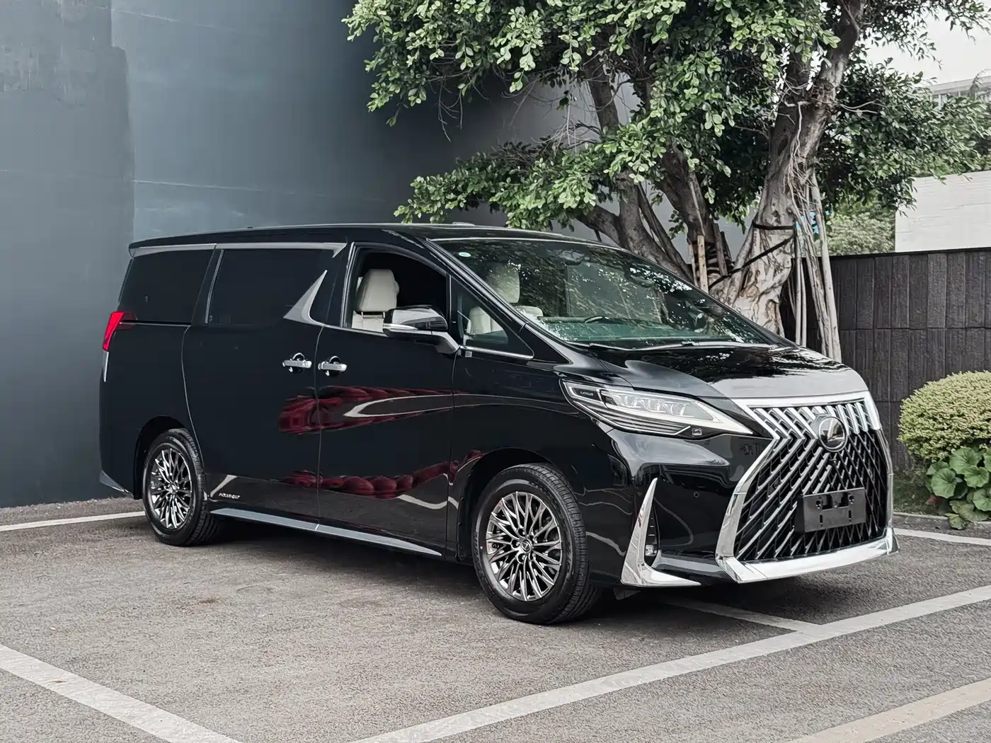 Lexus LM 2020 300h Seven-Seater Elegance Edition фото 2