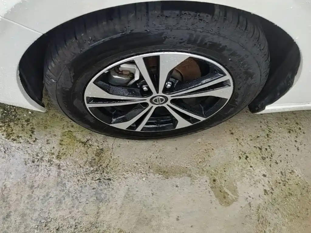 Nissan SYLPHY, миниатюра 25