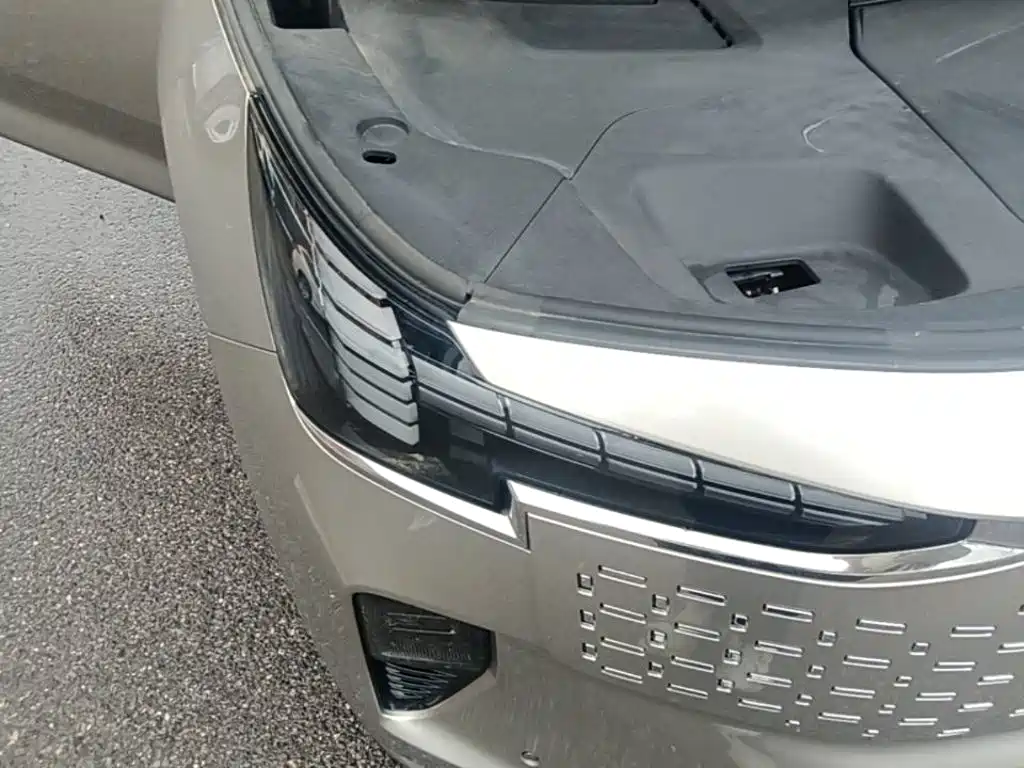 Volvo EM90 2024 2025 Ultra Six-Seater