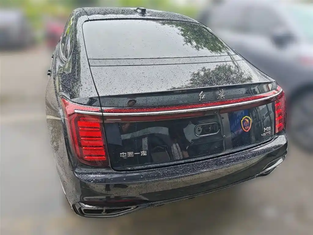 Hongqi H9 2024 2.0T Qi Enjoy Private Fashion Edition фото 10