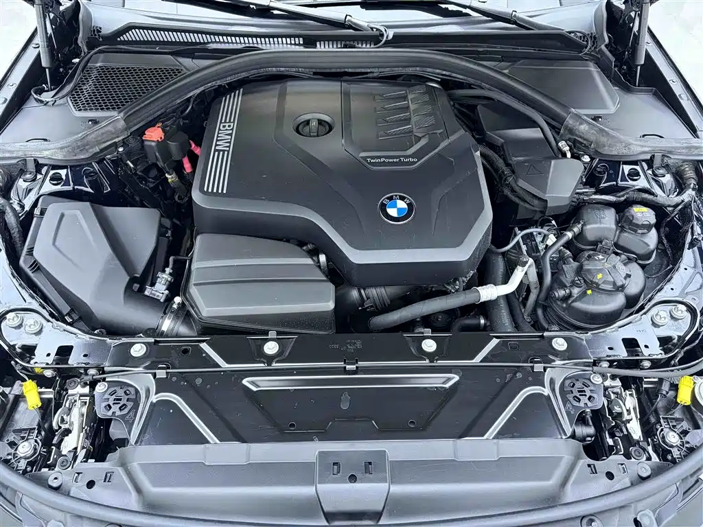 BMW 3 Series 2021 320Li M Sport Package фото 10