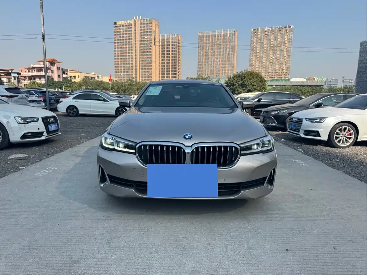 BMW 5 SERIES NEW ENERGY